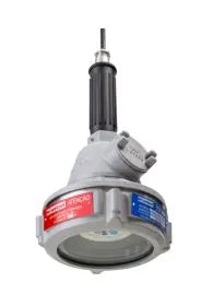 Luminaria Portatil Cz 30W 220V IPEL403030220 Wetzel